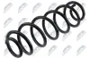 Fahrwerksfeder Hinterachse NTY ASZ-AU-049 Bild Fahrwerksfeder Hinterachse NTY ASZ-AU-049