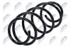 Fahrwerksfeder Vorderachse NTY ASZ-AU-050 Bild Fahrwerksfeder Vorderachse NTY ASZ-AU-050