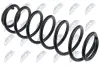 Fahrwerksfeder Hinterachse NTY ASZ-AU-051 Bild Fahrwerksfeder Hinterachse NTY ASZ-AU-051