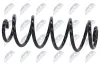 Fahrwerksfeder Hinterachse NTY ASZ-AU-052 Bild Fahrwerksfeder Hinterachse NTY ASZ-AU-052