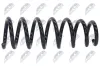 Fahrwerksfeder Vorderachse NTY ASZ-BM-010 Bild Fahrwerksfeder Vorderachse NTY ASZ-BM-010