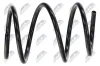 Fahrwerksfeder Vorderachse NTY ASZ-BM-036 Bild Fahrwerksfeder Vorderachse NTY ASZ-BM-036