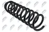 Fahrwerksfeder Vorderachse NTY ASZ-CH-000 Bild Fahrwerksfeder Vorderachse NTY ASZ-CH-000
