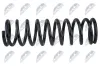 Fahrwerksfeder Vorderachse NTY ASZ-CH-001 Bild Fahrwerksfeder Vorderachse NTY ASZ-CH-001