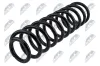 Fahrwerksfeder Hinterachse NTY ASZ-CH-004 Bild Fahrwerksfeder Hinterachse NTY ASZ-CH-004
