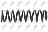 Fahrwerksfeder Hinterachse NTY ASZ-CH-005 Bild Fahrwerksfeder Hinterachse NTY ASZ-CH-005