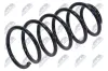 Fahrwerksfeder Vorderachse NTY ASZ-CH-014 Bild Fahrwerksfeder Vorderachse NTY ASZ-CH-014