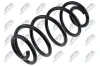Fahrwerksfeder Hinterachse NTY ASZ-CH-016 Bild Fahrwerksfeder Hinterachse NTY ASZ-CH-016