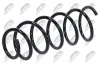 Fahrwerksfeder Vorderachse NTY ASZ-CH-019 Bild Fahrwerksfeder Vorderachse NTY ASZ-CH-019