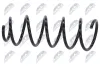 Fahrwerksfeder Vorderachse NTY ASZ-CH-019 Bild Fahrwerksfeder Vorderachse NTY ASZ-CH-019