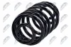 Fahrwerksfeder Hinterachse NTY ASZ-CH-021 Bild Fahrwerksfeder Hinterachse NTY ASZ-CH-021