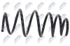 Fahrwerksfeder Vorderachse NTY ASZ-CH-025 Bild Fahrwerksfeder Vorderachse NTY ASZ-CH-025
