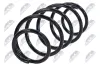 Fahrwerksfeder Vorderachse NTY ASZ-CT-000 Bild Fahrwerksfeder Vorderachse NTY ASZ-CT-000