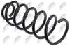 Fahrwerksfeder Hinterachse NTY ASZ-CT-004 Bild Fahrwerksfeder Hinterachse NTY ASZ-CT-004