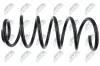 Fahrwerksfeder Hinterachse NTY ASZ-CT-004 Bild Fahrwerksfeder Hinterachse NTY ASZ-CT-004