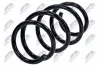 Fahrwerksfeder Vorderachse NTY ASZ-CT-007 Bild Fahrwerksfeder Vorderachse NTY ASZ-CT-007