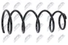 Fahrwerksfeder Vorderachse NTY ASZ-CT-011 Bild Fahrwerksfeder Vorderachse NTY ASZ-CT-011