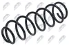Fahrwerksfeder Vorderachse NTY ASZ-CT-013 Bild Fahrwerksfeder Vorderachse NTY ASZ-CT-013