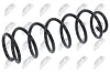 Fahrwerksfeder Vorderachse NTY ASZ-CT-013 Bild Fahrwerksfeder Vorderachse NTY ASZ-CT-013