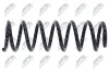 Fahrwerksfeder Hinterachse NTY ASZ-CT-015 Bild Fahrwerksfeder Hinterachse NTY ASZ-CT-015