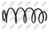 Fahrwerksfeder Vorderachse NTY ASZ-CT-016 Bild Fahrwerksfeder Vorderachse NTY ASZ-CT-016