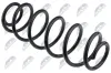 Fahrwerksfeder Hinterachse NTY ASZ-CT-017 Bild Fahrwerksfeder Hinterachse NTY ASZ-CT-017