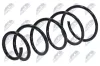 Fahrwerksfeder Vorderachse NTY ASZ-CT-018