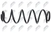 Fahrwerksfeder Hinterachse NTY ASZ-CT-029 Bild Fahrwerksfeder Hinterachse NTY ASZ-CT-029