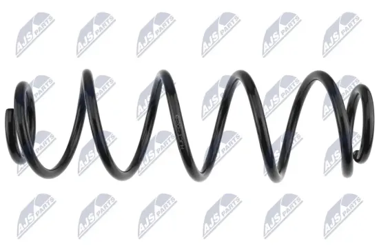 Fahrwerksfeder Hinterachse NTY ASZ-CT-029 Bild Fahrwerksfeder Hinterachse NTY ASZ-CT-029