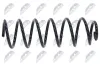Fahrwerksfeder Hinterachse NTY ASZ-CT-031 Bild Fahrwerksfeder Hinterachse NTY ASZ-CT-031