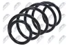 Fahrwerksfeder Vorderachse NTY ASZ-CT-033 Bild Fahrwerksfeder Vorderachse NTY ASZ-CT-033