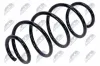 Fahrwerksfeder Vorderachse NTY ASZ-CT-034 Bild Fahrwerksfeder Vorderachse NTY ASZ-CT-034