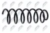 Fahrwerksfeder Hinterachse NTY ASZ-CT-036 Bild Fahrwerksfeder Hinterachse NTY ASZ-CT-036
