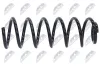 Fahrwerksfeder Hinterachse NTY ASZ-CT-037 Bild Fahrwerksfeder Hinterachse NTY ASZ-CT-037