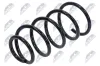 Fahrwerksfeder Vorderachse NTY ASZ-CT-039 Bild Fahrwerksfeder Vorderachse NTY ASZ-CT-039
