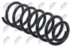 Fahrwerksfeder Hinterachse NTY ASZ-CT-041 Bild Fahrwerksfeder Hinterachse NTY ASZ-CT-041