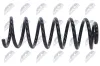 Fahrwerksfeder Hinterachse NTY ASZ-CT-041 Bild Fahrwerksfeder Hinterachse NTY ASZ-CT-041