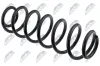 Fahrwerksfeder Hinterachse NTY ASZ-CT-043 Bild Fahrwerksfeder Hinterachse NTY ASZ-CT-043