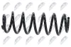Fahrwerksfeder Hinterachse NTY ASZ-CT-048 Bild Fahrwerksfeder Hinterachse NTY ASZ-CT-048