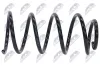 Fahrwerksfeder Vorderachse NTY ASZ-CT-051 Bild Fahrwerksfeder Vorderachse NTY ASZ-CT-051
