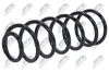 Fahrwerksfeder Hinterachse NTY ASZ-CT-056 Bild Fahrwerksfeder Hinterachse NTY ASZ-CT-056