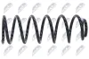 Fahrwerksfeder Hinterachse NTY ASZ-CT-056 Bild Fahrwerksfeder Hinterachse NTY ASZ-CT-056