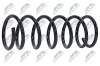 Fahrwerksfeder Hinterachse NTY ASZ-FR-001 Bild Fahrwerksfeder Hinterachse NTY ASZ-FR-001