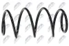 Fahrwerksfeder Vorderachse NTY ASZ-FR-004 Bild Fahrwerksfeder Vorderachse NTY ASZ-FR-004