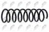 Fahrwerksfeder Hinterachse NTY ASZ-FR-011 Bild Fahrwerksfeder Hinterachse NTY ASZ-FR-011