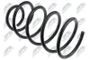 Fahrwerksfeder Vorderachse NTY ASZ-FR-012 Bild Fahrwerksfeder Vorderachse NTY ASZ-FR-012