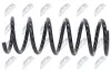 Fahrwerksfeder Hinterachse NTY ASZ-FR-013 Bild Fahrwerksfeder Hinterachse NTY ASZ-FR-013