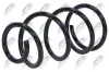 Fahrwerksfeder Vorderachse NTY ASZ-FR-023
