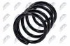 Fahrwerksfeder Vorderachse NTY ASZ-FR-024 Bild Fahrwerksfeder Vorderachse NTY ASZ-FR-024