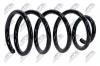Fahrwerksfeder Vorderachse NTY ASZ-FR-024 Bild Fahrwerksfeder Vorderachse NTY ASZ-FR-024